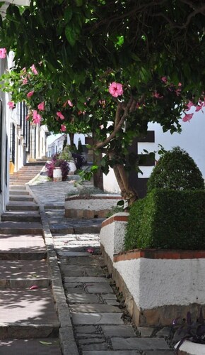 Typical Andalusian house with everything you want at your fingertips