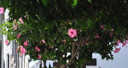 Typical Andalusian house with everything you want at your fingertips