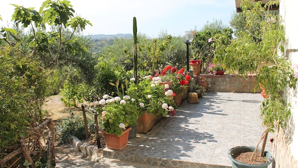 Un jardín en la azotea con plantas y flores en macetas, un sendero de piedra y vistas del paisaje circundante.