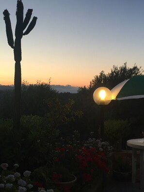 Property grounds - Villa Costa Grande with garden and free parking, relaxation area (Altavilla Milicia)