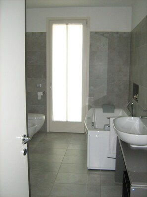 Bathtub, jetted tub, hair dryer, bidet