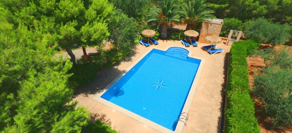 An aerial view of a rectangular swimming pool surrounded by lounge chairs and palm trees, with a clear sky above.