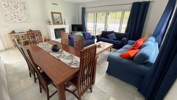 TV connectée, cheminée, lecteur de DVD, chaîne hi-fi