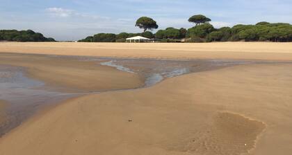 Luxury Private Villa with private swimming pool, courtyard and gardens.