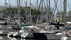 Uklassifisert bilde, 3 av 36, knapp