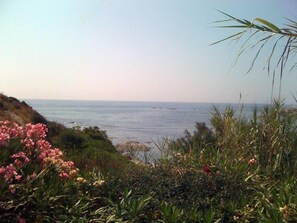 paraíso frente al mar