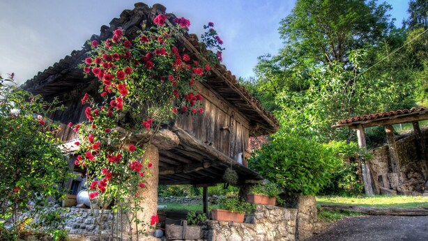 A rustic stone building with a wooden roof and a covered porch. - Cosy, rustic, holiday home, near the coast and mountains, (Asturias)