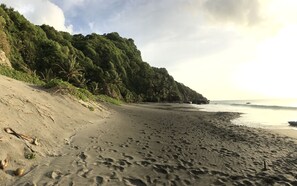 Beach nearby - House / Villa - GRAND''RIVIERE (Grand'Rivière)