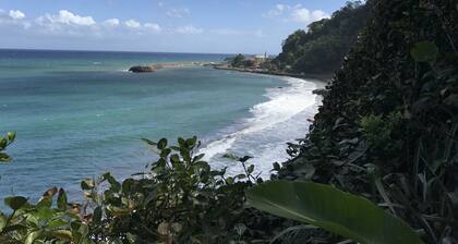 Casa / villa / chalet - GRAND''RIVIERE