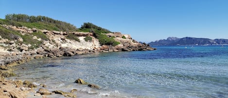 Playa en los alrededores, camastros y toallas de playa 