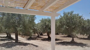 An outdoor area with a pergola structure, olive trees, and a dirt ground. - Vendicari time, just steps away from the calamus beaches and vendors (NOTO)