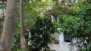 A multi-story building with balconies and windows, surrounded by trees and greenery. - Charm and garden view, in the center of Paris, near Montparnasse (Paris)