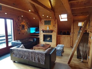 تلفزيون، مدفأة، مشغل دي في دي، مكتبة فيديو