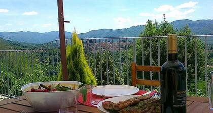 Exceptionnel 3 chambres en Villa panoramique en Toscane (Albiano, Barga, Lucca)