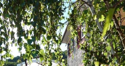 Outstanding 3 ensuite bedrooms panoramic Villa in Tuscany (Albiano,Barga,Lucca)