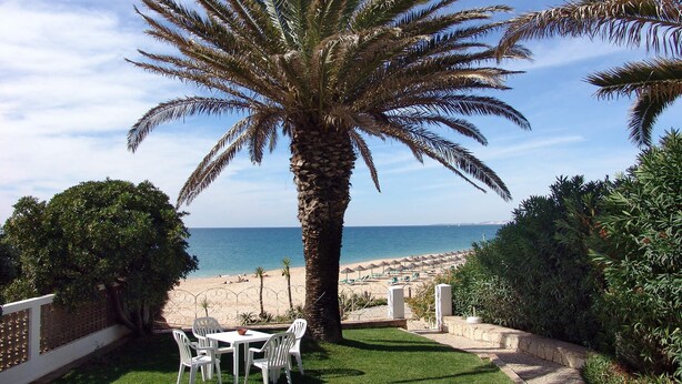 Une terrasse avec une table et des chaises, un palmier, et une vue sur la plage et l’océan.