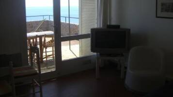 Televisie, een dvd-speler, boeken en een filmbibliotheek