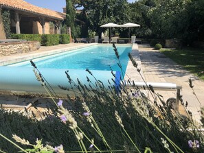 A swimming pool with a stone deck, surrounded by greenery and a pergola with umbrellas.