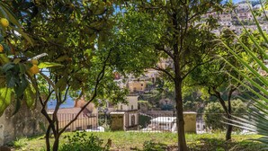 Vista de una colina con edificios, árboles y una cerca.