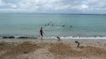 In StrandnĂ€he, LiegestĂŒhle