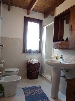 Dusche, Haartrockner, Bidet, Handtücher