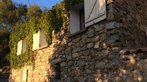 A stone building with ivy-covered windows and a rustic stone wall. - House / Villa - Cargese (Cargèse)