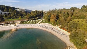 Un parque tranquilo con un gran estanque, senderos y diversas especies de árboles.
