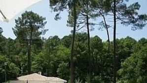 Una terraza de madera con piscina, rodeada de árboles y un edificio pequeño.
