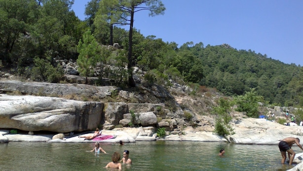 A natural pool surrounded by rocks and trees, with people swimming and relaxing.