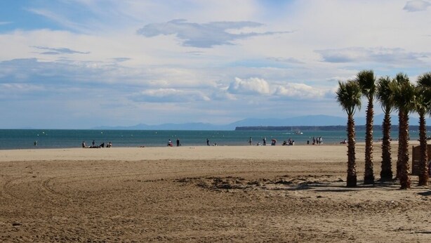 Ein Strand mit Palmen, Menschen und blauem Himmel.