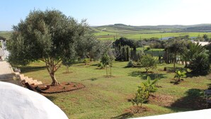 Un jardín ajardinado con diversas especies de árboles y arbustos, un camino pavimentado y vistas a colinas onduladas en la distancia.
