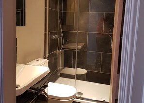 Bathroom features a glass-enclosed shower, toilet, and sink.