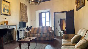 Smart TV, fireplace, DVD player, books