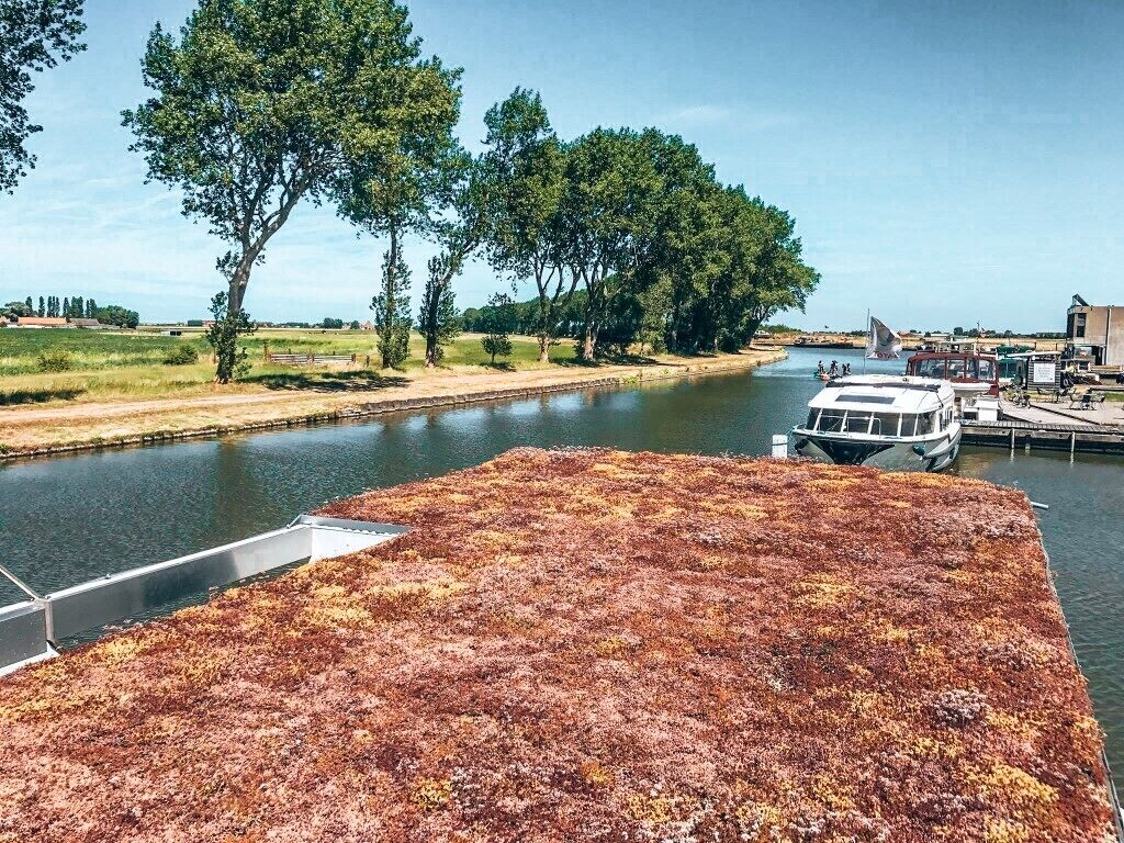 A river with boats, a dock, and trees along the banks.