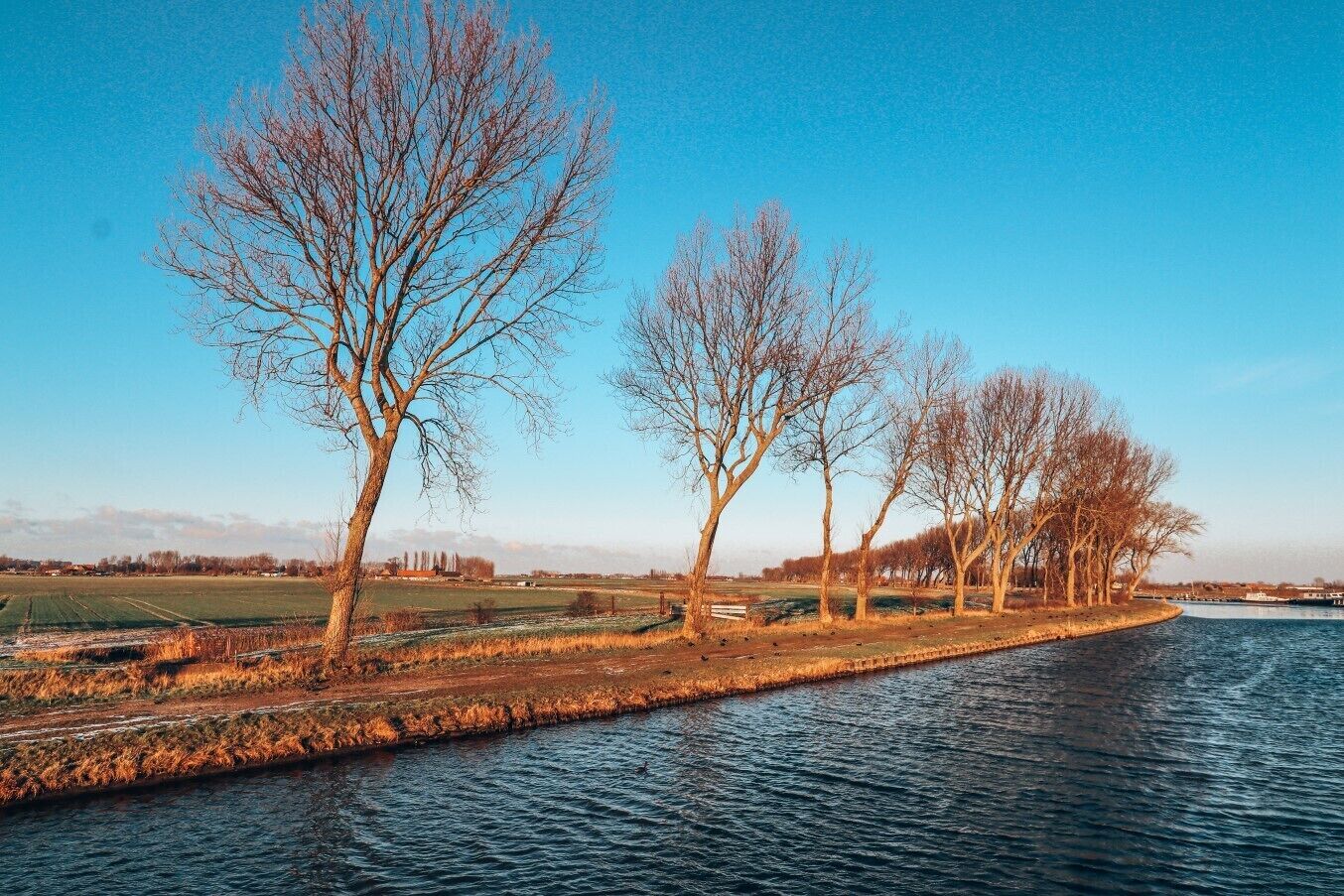 Un río con árboles en la orilla, una barca en el agua y campos al fondo.
