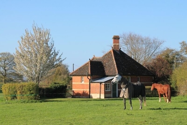 Friendly horses in the paddock