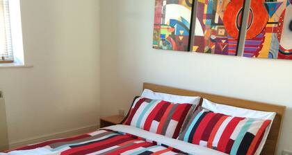 Beautiful Kingston apartment