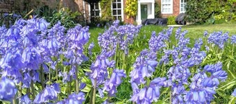 Large celebration Town House in Chichester City Centre. Great for groups/families!