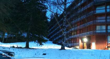 Les Arcs 1800: 5/6 person apartment in 'LES LAUZIERES' residence