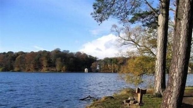 A lakeside view with a wooden bench and a stone structure, surrounded by trees and a clear sky.