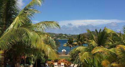 Stunning six bedroom seafront villa with pool, garden and sea views