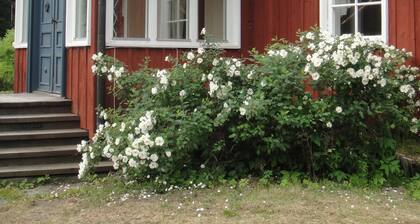 Charming cottage near the sea