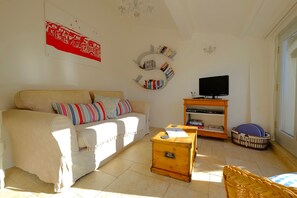 Smart TV, chimenea, reproductor de DVD y libros 