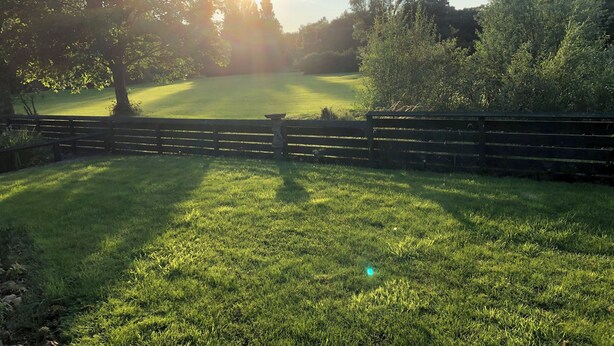 A grassy field with a wooden fence and trees in the background.