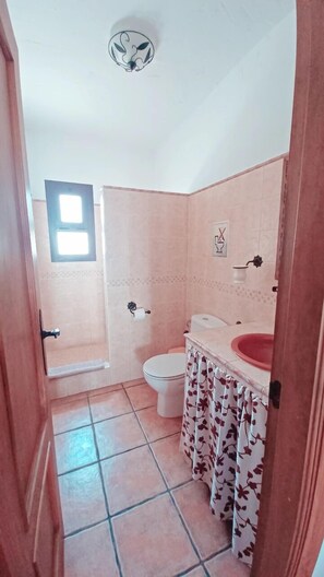 Un baño con inodoro, lavamanos y ducha.