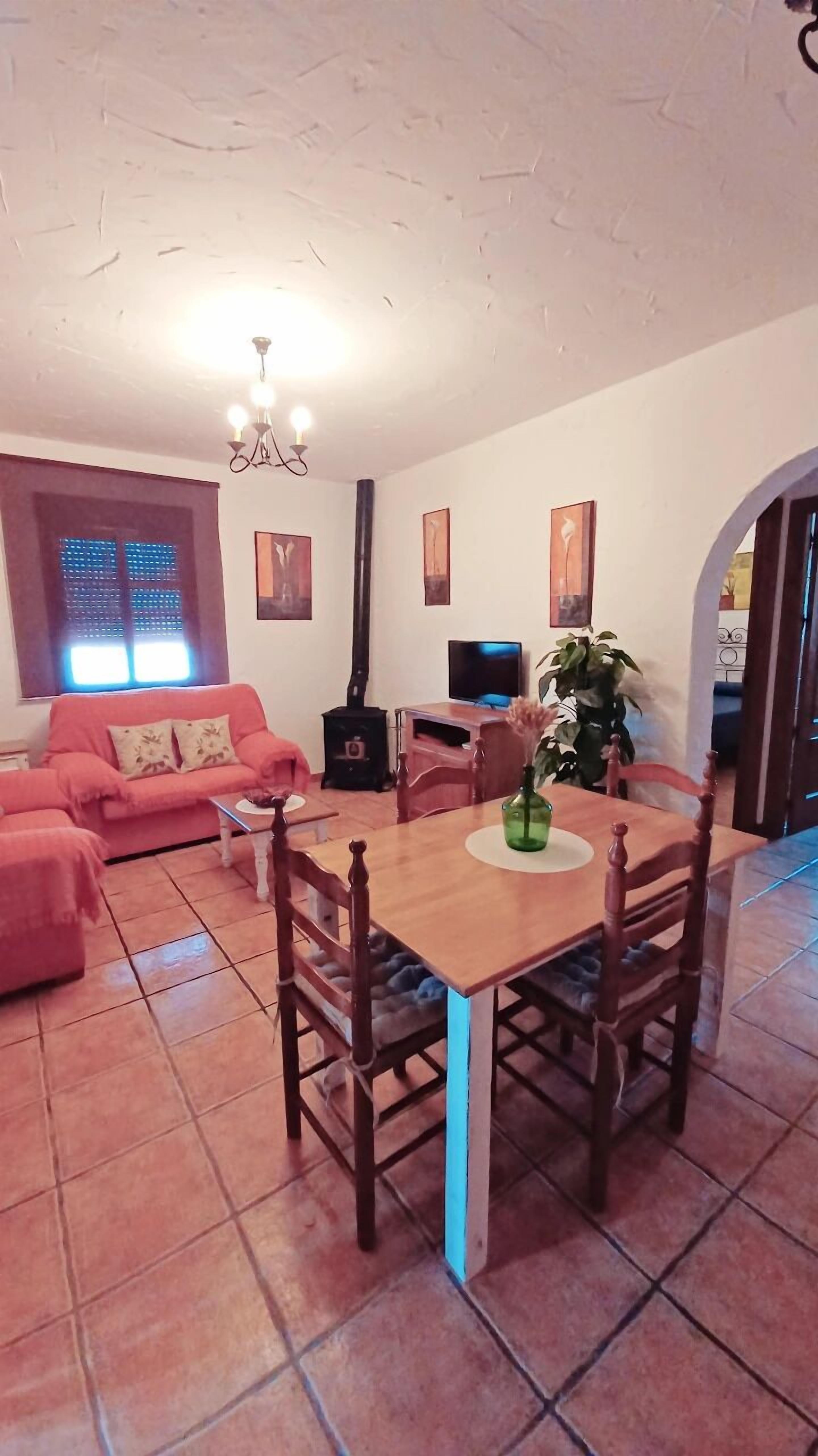 Una televisión, una chimenea