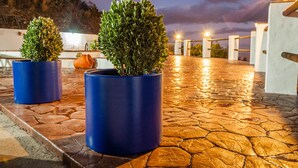 Deux plantes en pot sur une terrasse en pierre, avec vue sur le ciel et les lumières lointaines.