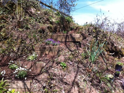 Parsonage Farm Stables, with stunning views down to the sea