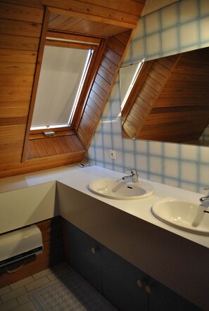 Bathtub, hair dryer, toilet paper