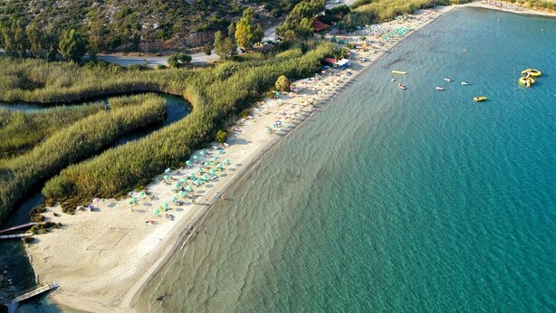 Vista aérea de una playa con agua turquesa cristalina, una orilla arenosa y una hilera de sombrillas y sillas de playa.